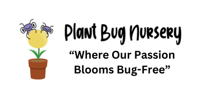 Plant Bug Nursery